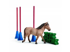 42483-pony-slalom.jpg