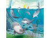 SGT330-smartgames-multi-flippindolphins_pack3.jpg