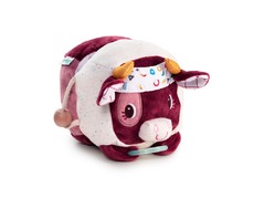 83222_rosalie_discovery_cow_1.jpg