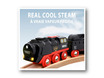 33884_battery_operated_steaming2.jpg