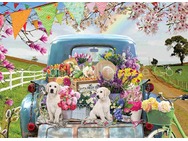 85098CountryTruckinSpring.jpg